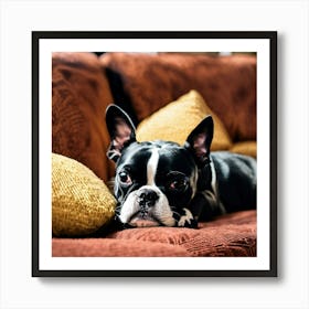 Boston Terrier Sleeping On The Couch (3) Art Print