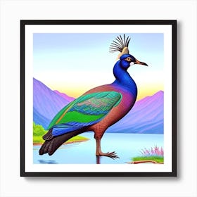 Peacock 14 Art Print