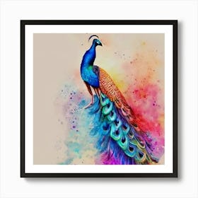 Peacock Painting Art Print