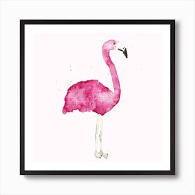 Flamingo Square Art Print