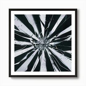 Black and White Abstract Art 196 Art Print