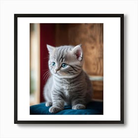 British Shorthair Kitten Art Print