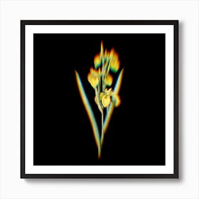 Prism Shift Irises Botanical Illustration on Black n.0081 Art Print