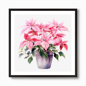 Poinsettia 13 Art Print