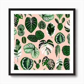 Houseplant Leaves Pattern Square Art Print