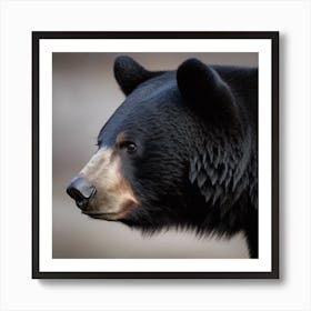 Black Bear Art Print