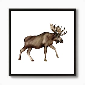 Moose Art Print