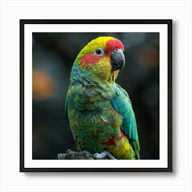 Colorful Parrot 7 Art Print