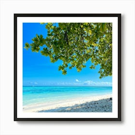 Relax Ocean Plant Idylli Holiday Coastline Beautiful Calm Shore Blue Paradise Sunlight N (25) Art Print