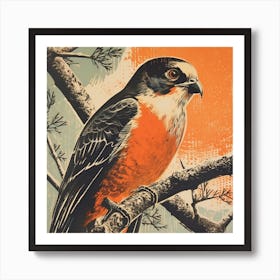 Retro Bird Lithograph Eurasian Sparrowhawk 3 Art Print