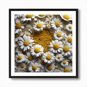 Daisies 2 Art Print