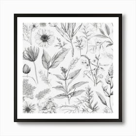 Black And White Drawing Of Flowers Art Print