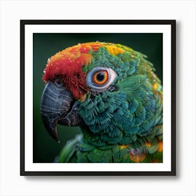 Colorful Parrot 24 Art Print