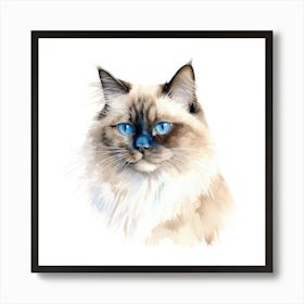 Birman Cat Portrait Art Print