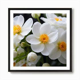 White Flowers Art Print