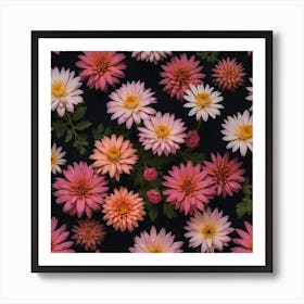 Pink Dahlias Art Print