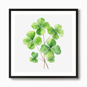 Four Leaf Clover 16 Art Print