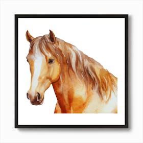 Horse Watercolor Painting.uk 3 Art Print