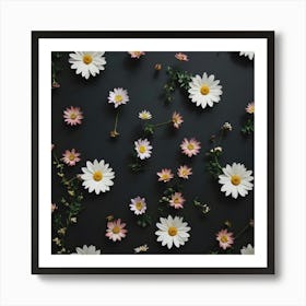 Daisies On A Black Background Art Print