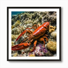 Red Lobster On Coral Reef 1 Art Print