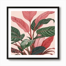 Pink And Red Plant Illustration Chinese Evergreen Art print 3 Art Print