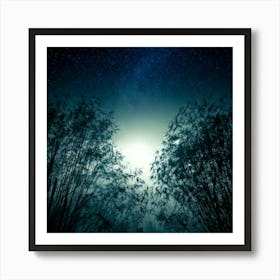 Firefly 8k, Top Quality, Live Action, Center, Dark, Night, Midnight, Starry Sky, Bamboo, Dense, Fog, Art Print