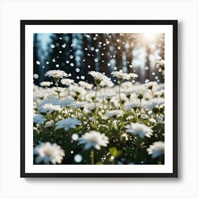 White Chrysanthemums Art Print