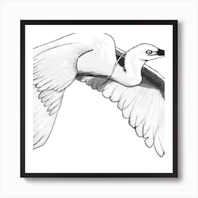 Egret In Flight Art Print