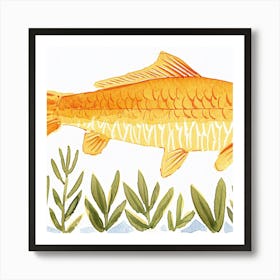 Carp Illustration Art Print