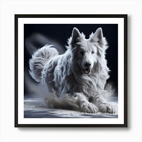 White Shepherd Dog Art Print