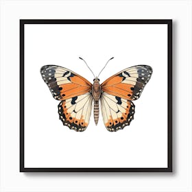 Butterfly 13 Art Print