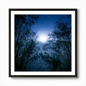 Firefly 8k, Top Quality, Live Action, Center, Dark, Night, Midnight, Starry Sky, Bamboo, Dense, Fog, (3) Art Print