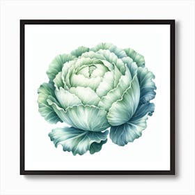 White cabbage Art Print