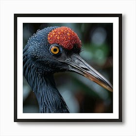 Black Stork Art Print