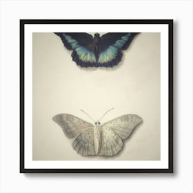 Two Butterflies Art Print