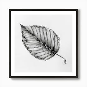 Autumn Leaf in Black and White Ink Art Print