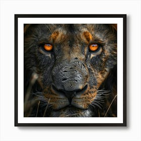 Portrait Of A Lion Art Print