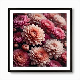 Chrysanthemums flowers Art Print