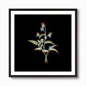 Prism Shift Blue Spiderwort Botanical Illustration on Black n.0133 Art Print
