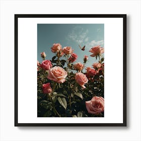 Pink Roses Art Print