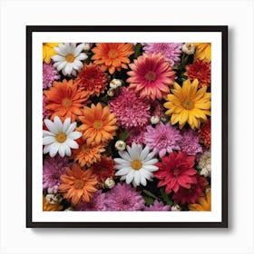 Colorful Flowers - Flower Stock Videos & Royalty-Free Footage Art Print