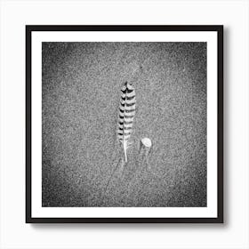 Bird feather & a seashell on the Beach // Travel Photography Art Print