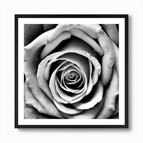 Black And White Rose 6 Art Print