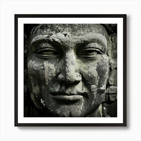 Firefly Weathered Face With Bold Textured Details 63683 Art Print