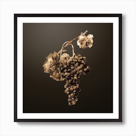 Gold Botanical Grape Spanna on Chocolate Brown n.1726 Art Print