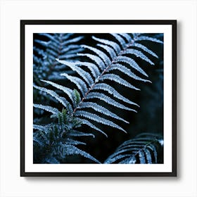 Fern Leaf With Frost Art Print