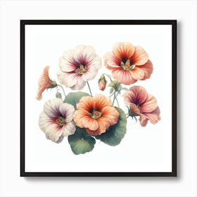 Flowers of Nasturtium Art Print