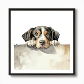 Bernese Mountain Dog 8 Art Print