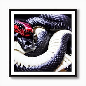 Black And Red Snakes Art Print
