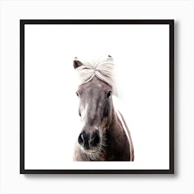 Iceland Horse Sorli Square Art Print